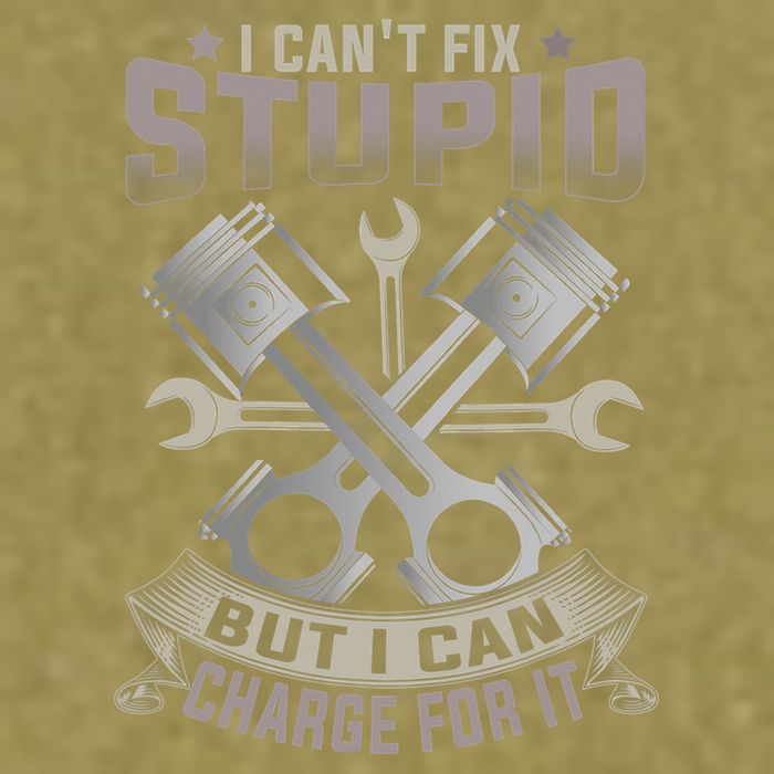 Mechanic Car Guy I Cant Fix Stupid But I Can Charge For It Garment-Dyed Women's Muscle Tee