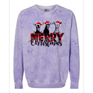 Merry Christmas Goat Funny Xmas Goat Funny Goat Colorblast Crewneck Sweatshirt