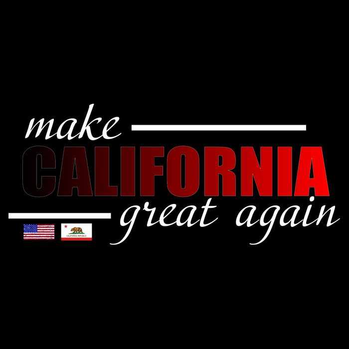 Make California Great Again Impact Tech Backpack