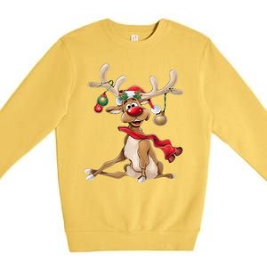 Merry Christmas Gifts For Him Funny Reindeer Premium Crewneck Sweatshirt