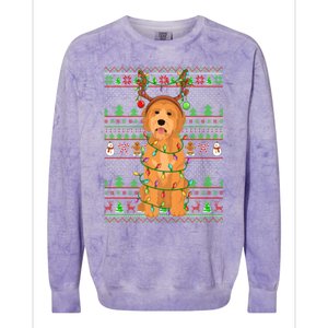 Merry Christmas Golden Doodle Dog Reindeer Xmas Lights Ugly Gift Colorblast Crewneck Sweatshirt