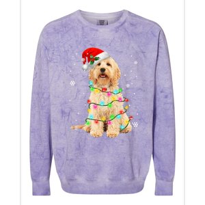 Merry Christmas Golden Doodle Dog Santa Hat Xmas Tree Lights Cute Gift Colorblast Crewneck Sweatshirt