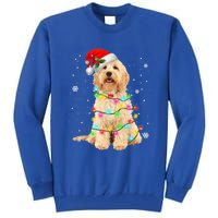 Merry Christmas Golden Doodle Dog Santa Hat Xmas Tree Lights Cute Gift Tall Sweatshirt