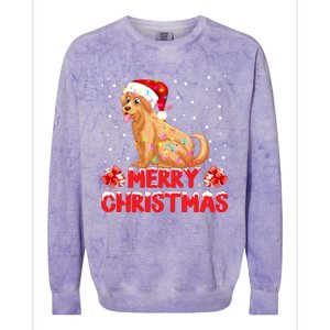 Merry Christmas Golden Retriever Santa Hat Lights Snowflakes Gift Colorblast Crewneck Sweatshirt