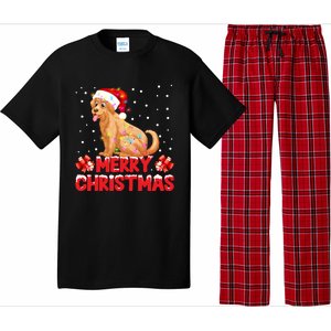 Merry Christmas Golden Retriever Santa Hat Lights Snowflakes Gift Pajama Set