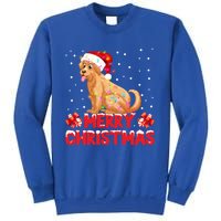 Merry Christmas Golden Retriever Santa Hat Lights Snowflakes Gift Sweatshirt