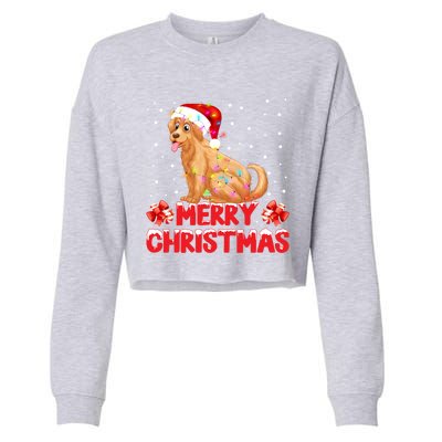 Merry Christmas Golden Retriever Santa Hat Lights Snowflakes Gift Cropped Pullover Crew