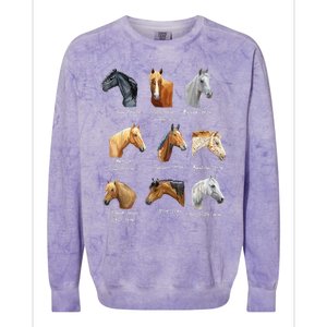 Merry Christmas Horse Breeds Equestrian Cowboy Cowgirl Xmas Colorblast Crewneck Sweatshirt