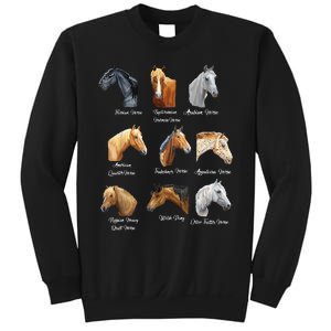 Merry Christmas Horse Breeds Equestrian Cowboy Cowgirl Xmas Sweatshirt