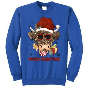 Mooey Christmas Hairy Highland Cow Xmas Light Santa Hat Cool Gift Sweatshirt