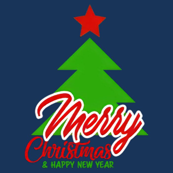 Merry Christmas & Happy New Year X Christmas Tree Mesh Reversible Basketball Jersey Tank