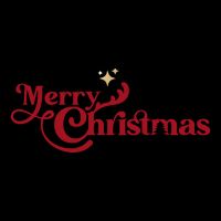 Merry Christmas Holiday Festive Gift Cooling Performance Crew T-Shirt