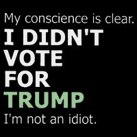 My Conscience Is Clear I DidnT Vote For Trump Tall T-Shirt