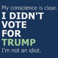 My Conscience Is Clear I DidnT Vote For Trump Infant Baby Jersey Bodysuit