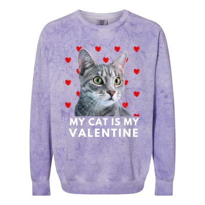 My Cat Is My Valentine Funny Grey Cat Valentines Day Gift Colorblast Crewneck Sweatshirt