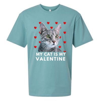 My Cat Is My Valentine Funny Grey Cat Valentines Day Gift Sueded Cloud Jersey T-Shirt