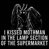 Mothman Cryptid I Kissed Mothman In The Lamp Section Tall T-Shirt