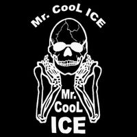 Mr Cool Ice Skull Skeleton Backpack