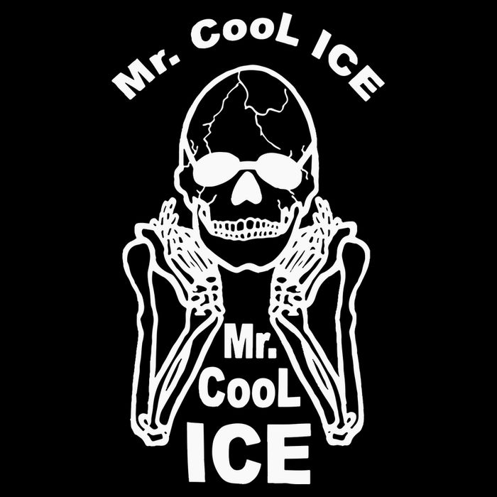 Mr Cool Ice Skull Skeleton Backpack