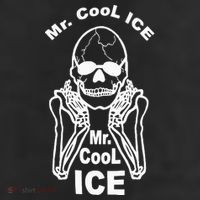 Mr Cool Ice Skull Skeleton Adult Drive Performance Visor
