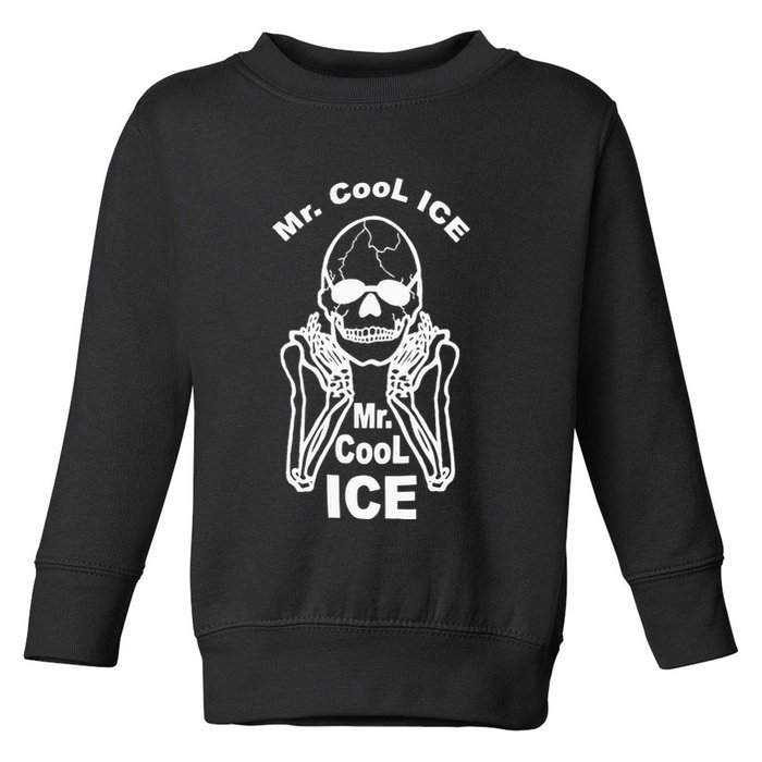 Mr Cool Ice Skull Skeleton Toddler Sweatshirt