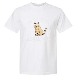 My Cat Is An Aquarius Astrology Kittens Star Sign Horoscope Gift Garment-Dyed Heavyweight T-Shirt