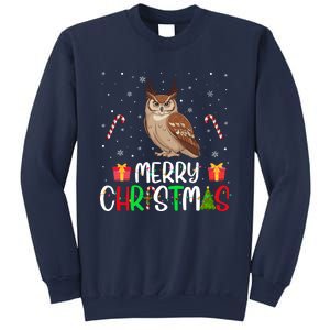 Merry Christmas Lights Owl Reindeer Hat Xmas Pjs Sweatshirt