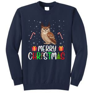 Merry Christmas Lights Owl Reindeer Hat Xmas Pjs Tall Sweatshirt