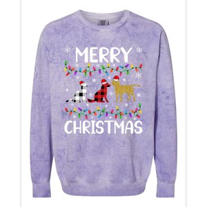 Merry Christmas Lighting Santa Golden Retriever Dog Xmas Gift Colorblast Crewneck Sweatshirt