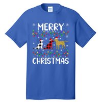 Merry Christmas Lighting Santa Golden Retriever Dog Xmas Gift Tall T-Shirt