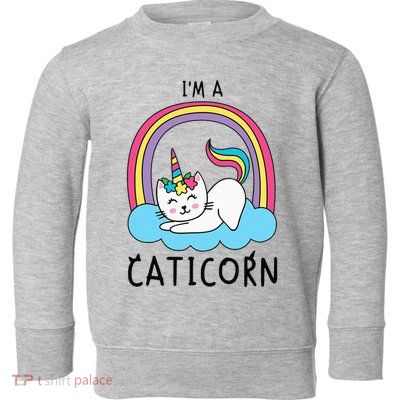 Magical Cat Lover Unicorn Rainbow Design Toddler Sweatshirt