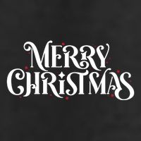 Merry Christmas Lights Festive Family Matching Adult Drive Performance Visor