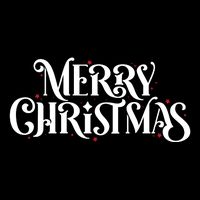 Merry Christmas Lights Festive Family Matching Zip Tote Bag