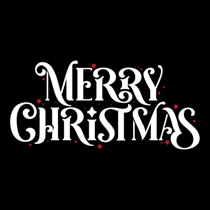 Merry Christmas Lights Festive Family Matching Zip Tote Bag