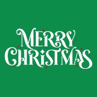 Merry Christmas Lights Festive Family Matching Womens T-Shirt