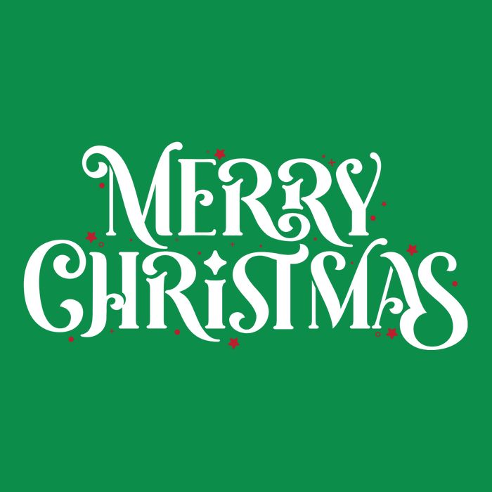 Merry Christmas Lights Festive Family Matching Womens T-Shirt