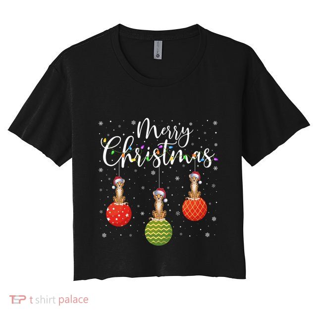 Merry Christmas Lights Santa Hat Cheetah Ugly Xmas Great Gift Crop Top