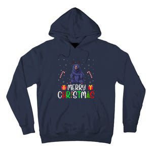 Merry Christmas Lights Bear Reindeer Hat Xmas Pjs Tall Hoodie