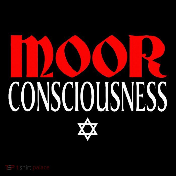 Moor Consciousness Moorish American V-Neck T-Shirt