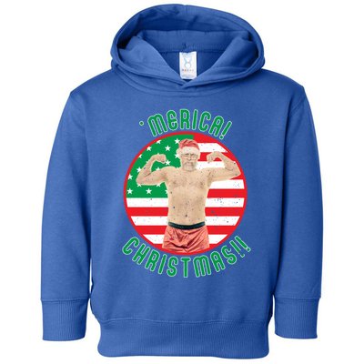 Merica Christmas Murica Usa America American Flag Santa Dad Great Gift Toddler Hoodie