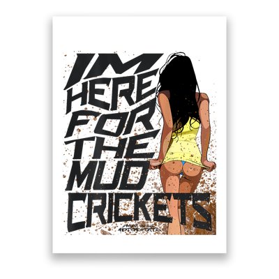 Mud Cricket Poster