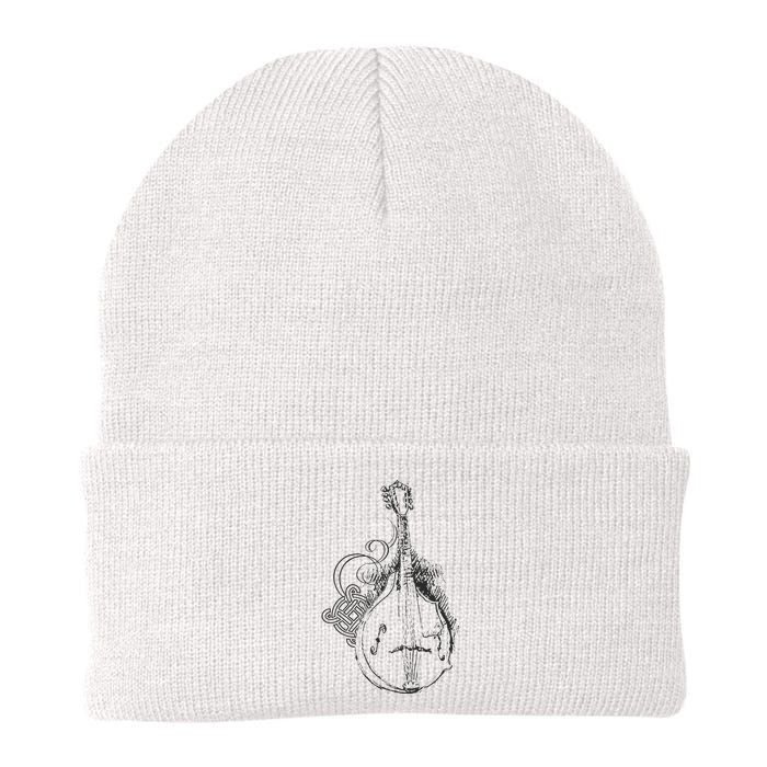 Mandolin Classic Mandolin Music Festival Music Lover Knit Cap Winter Beanie