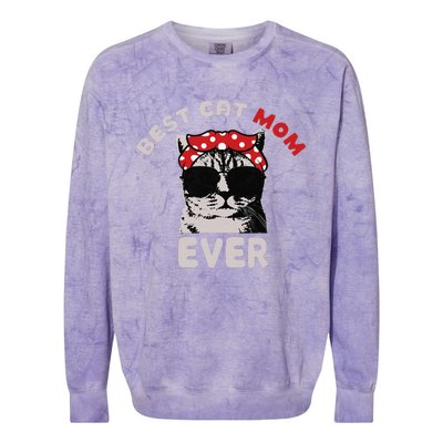 Meow Cat Meow Kitty Funny Cats Mom And Cat Dad Colorblast Crewneck Sweatshirt