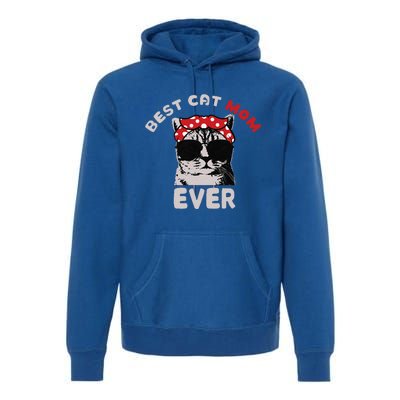 Meow Cat Meow Kitty Funny Cats Mom And Cat Dad Premium Hoodie