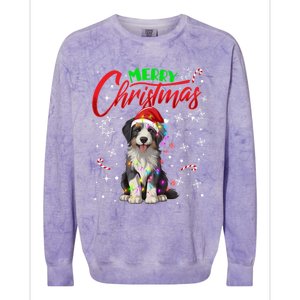 Merry Christmas Newfoundland Dog Santa Hat Lights Snowflakes Cute Gift Colorblast Crewneck Sweatshirt