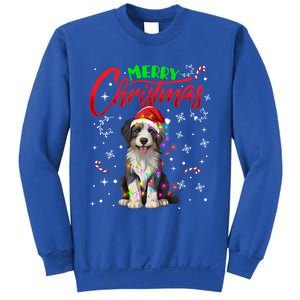 Merry Christmas Newfoundland Dog Santa Hat Lights Snowflakes Cute Gift Sweatshirt