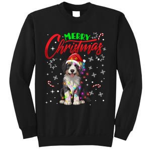 Merry Christmas Newfoundland Dog Santa Hat Lights Snowflakes Funny Gift Sweatshirt