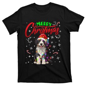 Merry Christmas Newfoundland Dog Santa Hat Lights Snowflakes Funny Gift T-Shirt