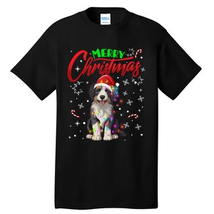 Merry Christmas Newfoundland Dog Santa Hat Lights Snowflakes Funny Gift Tall T-Shirt