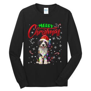 Merry Christmas Newfoundland Dog Santa Hat Lights Snowflakes Funny Gift Tall Long Sleeve T-Shirt